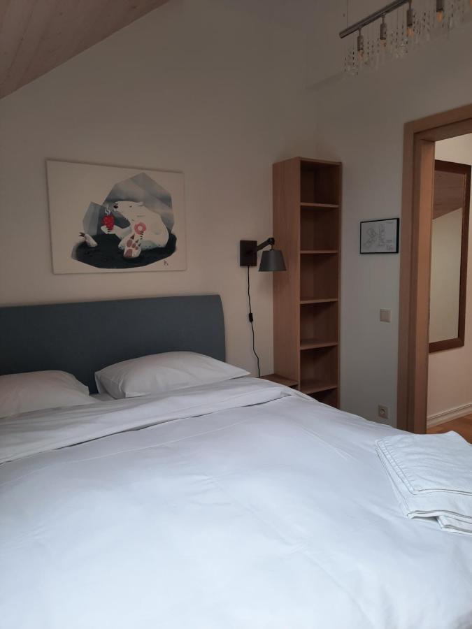 Lake & Library Boutique Hotel Іґналіна Екстер'єр фото